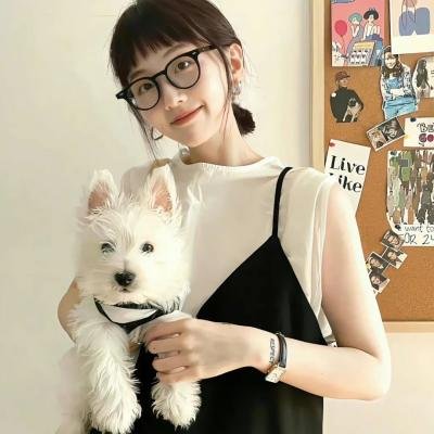 鹡鸰女神第一季 封面